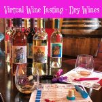 Virtual Wine Party - Dry Photo