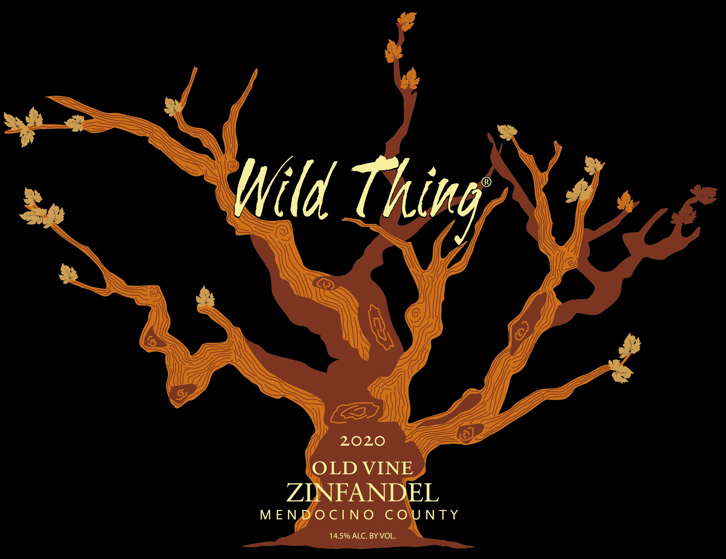 Wild Thing Zin 2020 375's Photo
